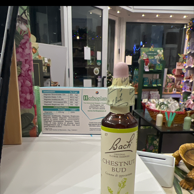 Fiori di bach 07 Chestnut Bud