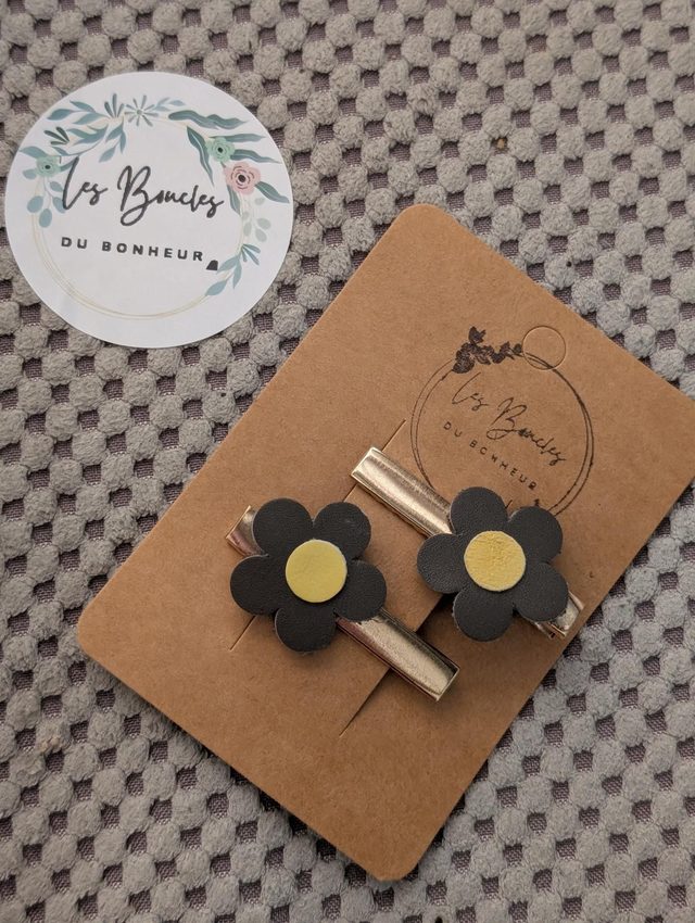 Barrette b067