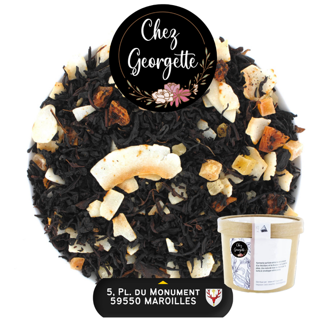 FORT DE FRANCE - Pot de 25 infusettes