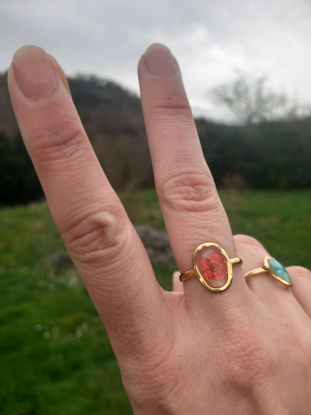 Bague vëa 