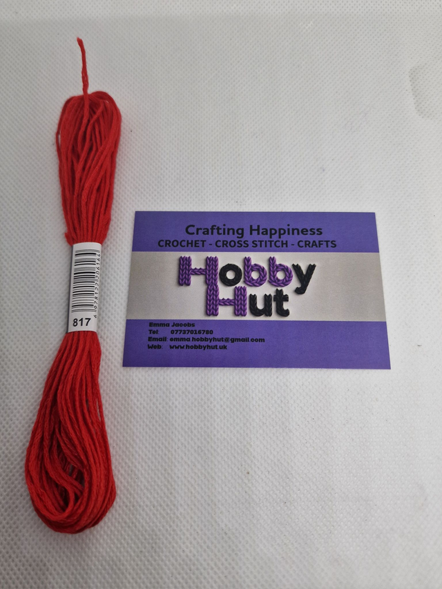 Embroidery Thread - 817