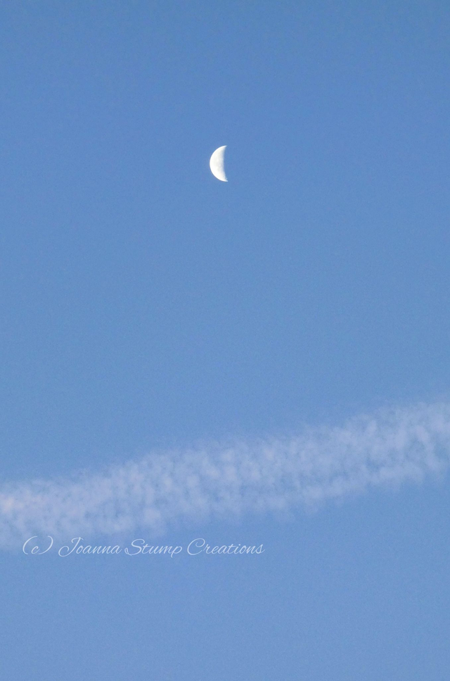 Photographic Open Edition Canvas Panel Print from my "Up High" collection, "Moon and Trail"