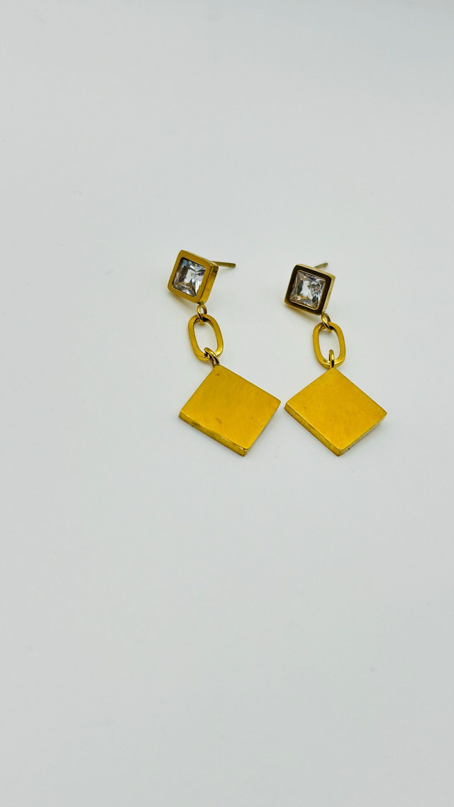 Stainless Steel Earrings (SSE51J)