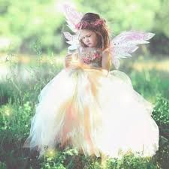 Magical Fairy and Wizard Party Deposit Per Person 