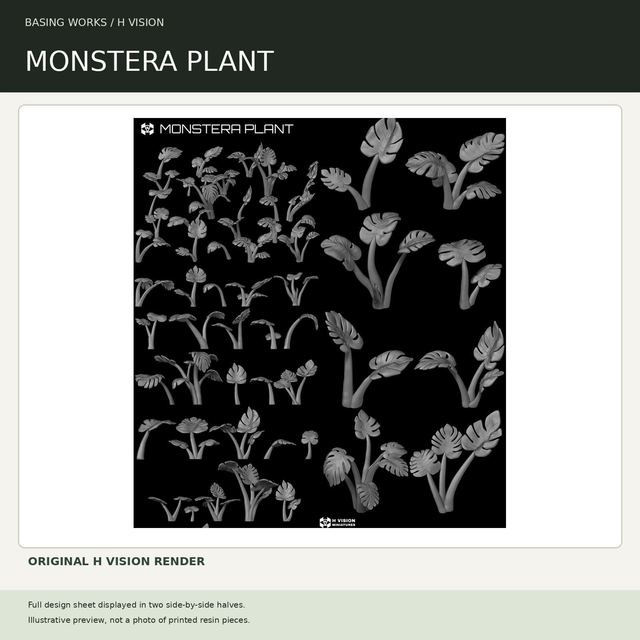 H Vision - Monstera Plant