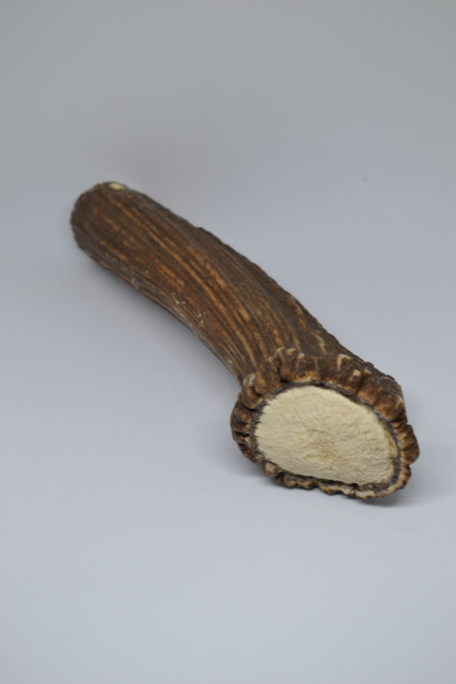 Bois de cerf