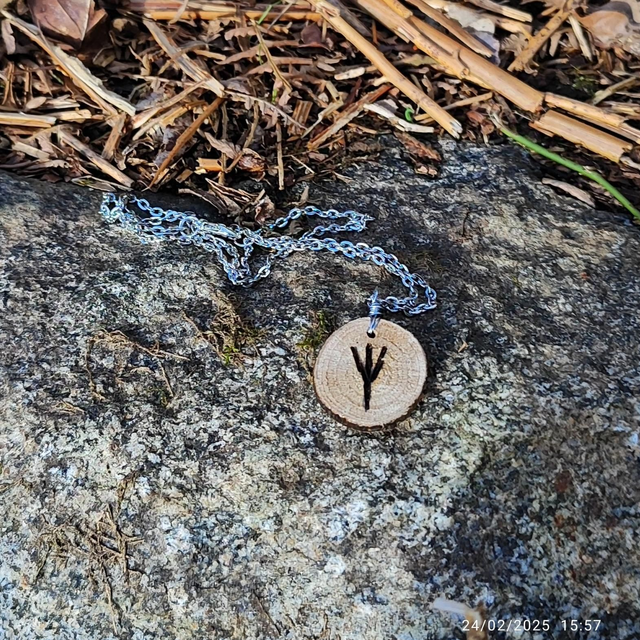 Collier du nord &quot;Algiz&quot;