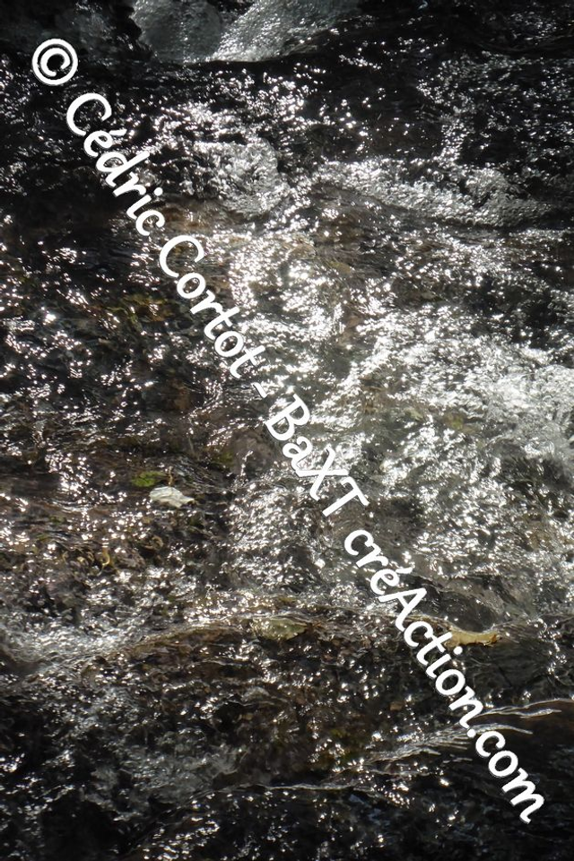 Impression sur alu dibond - Reflets et cours d'Eau (ref P1190162)