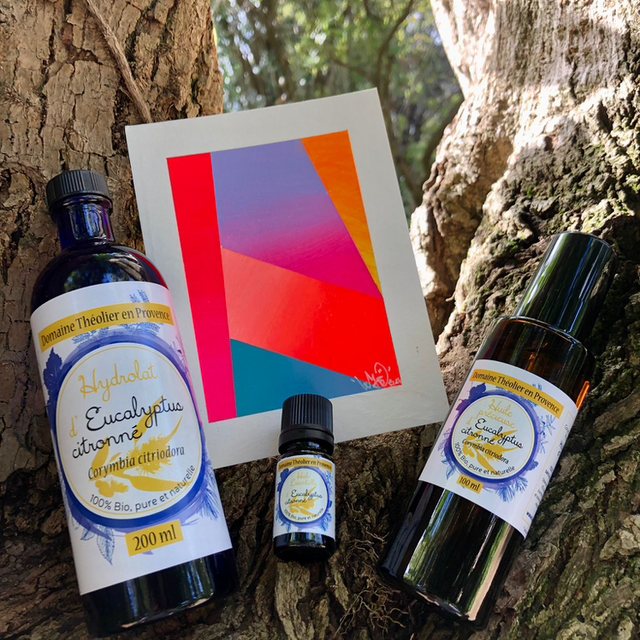 Coffret Eucalyptus Citronné - L'intégrale 