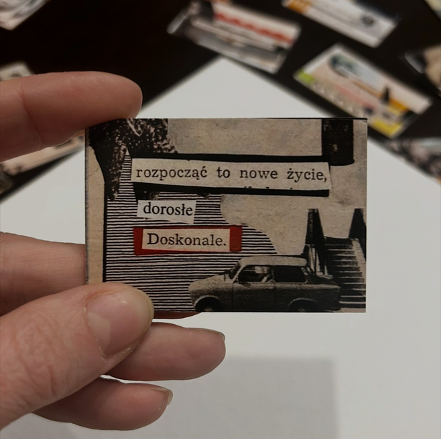 Miniaturka w ramce nr 48 - dorosłe życie 