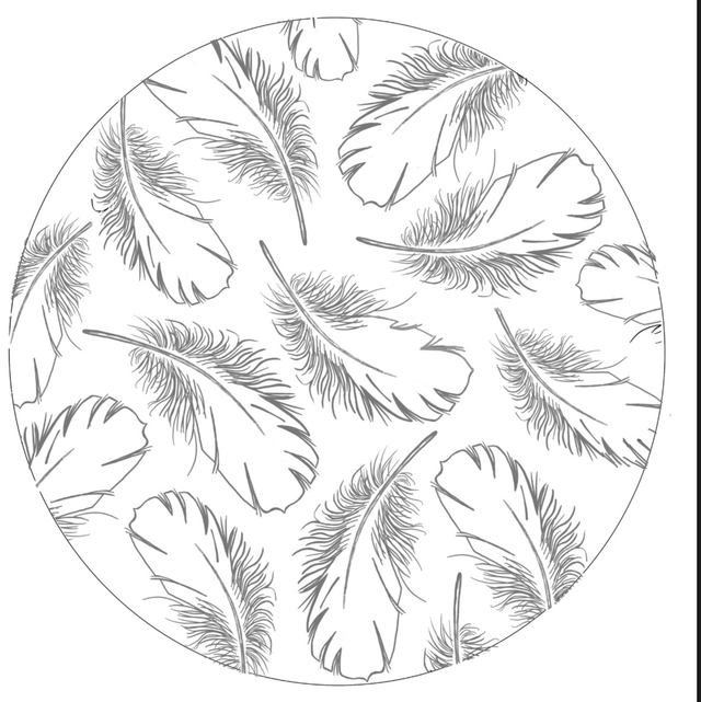 Kartonrondelle  Federn 1 Stk