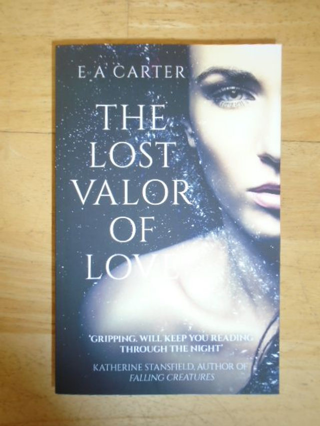The Lost Valor of Love by E A Carte