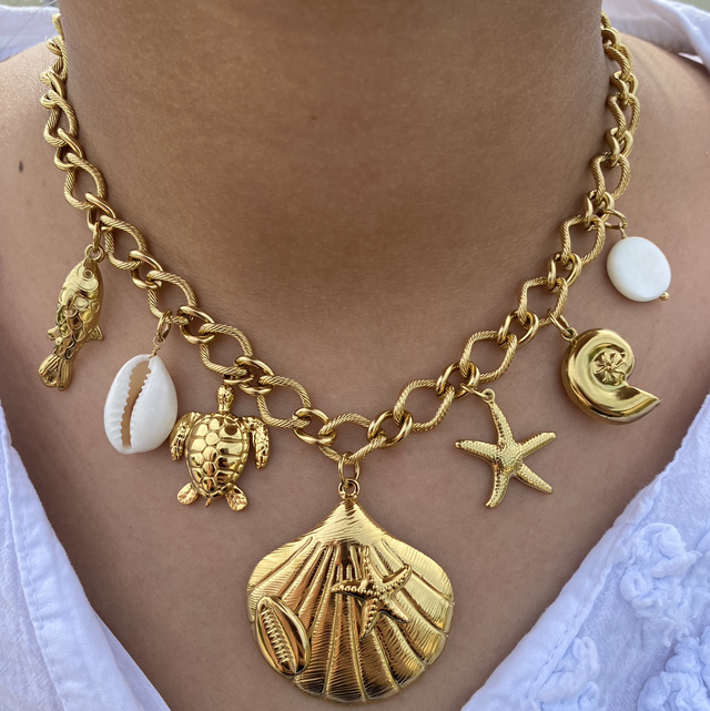 Collier coquillage