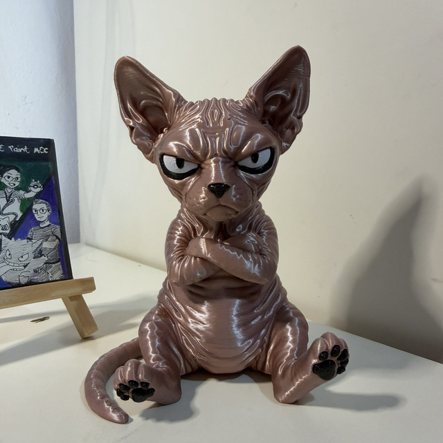 Sphynello il Gatto Sphynx che ti giudica 