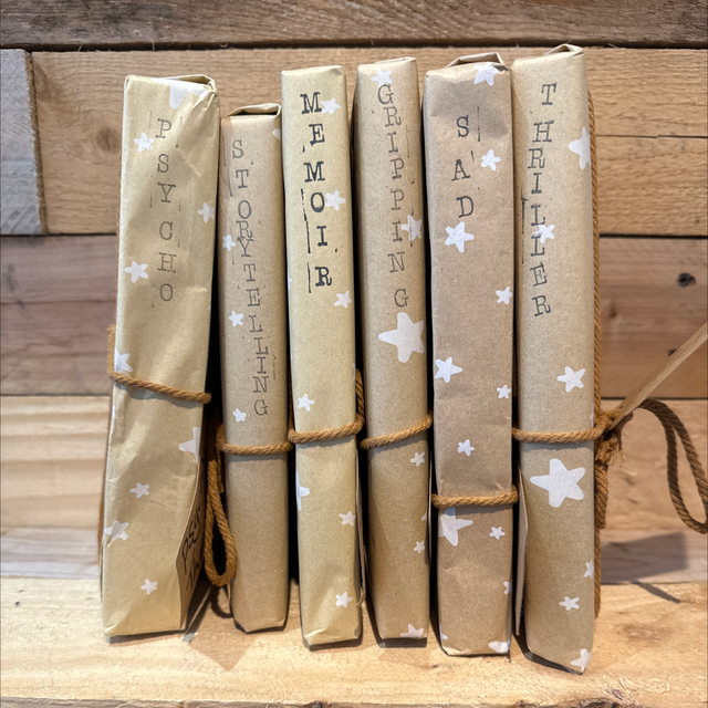 Mystery Short Paperback Book 