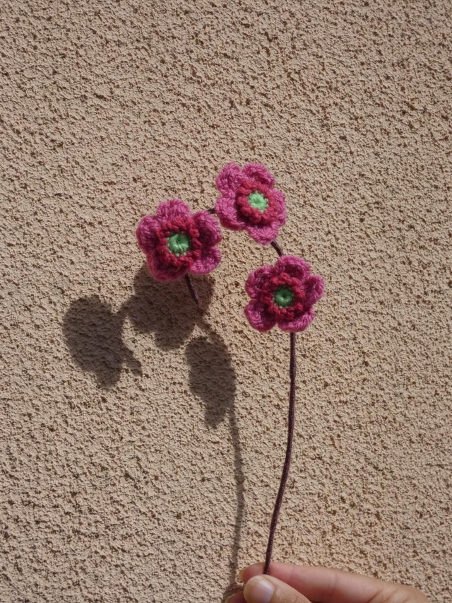 Tige de sakuras roses