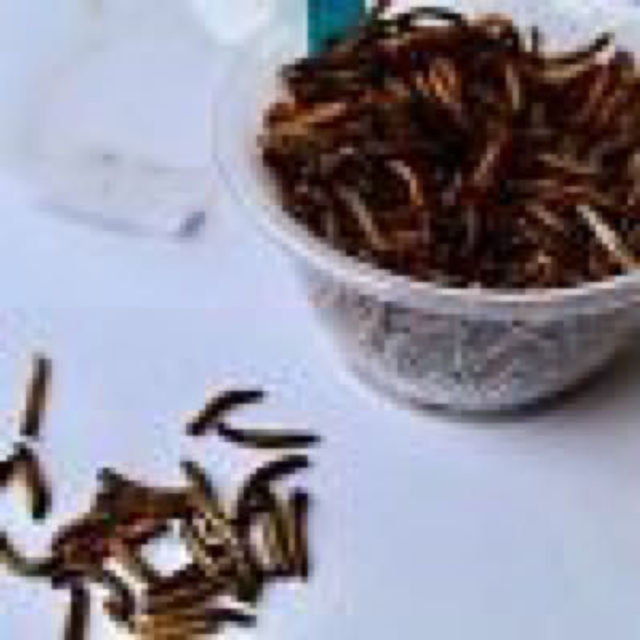 Camole della farina essiccate