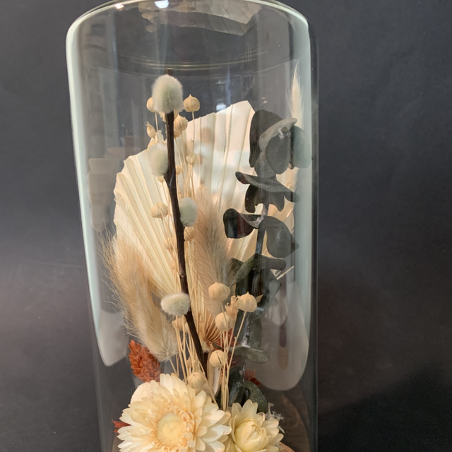 Cloche verre 