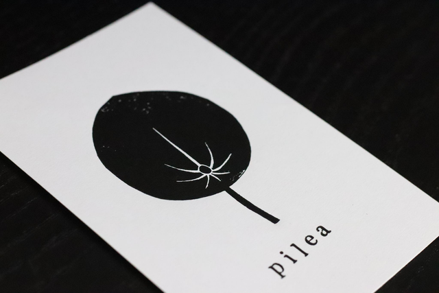 Linogravure A6 feuille de Pilea