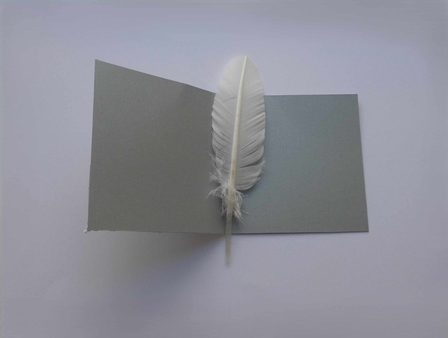 Noël au-dessus de la forêt