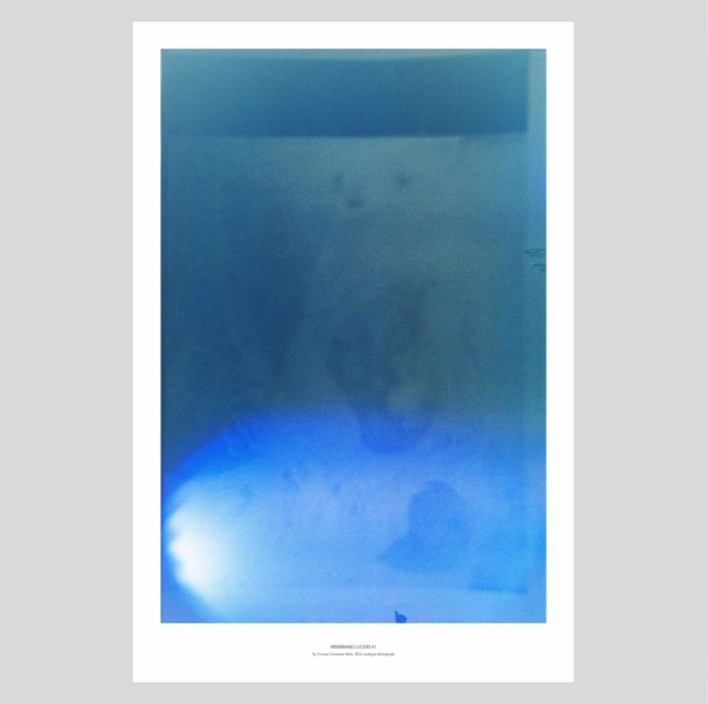 Membranes Lucides #1