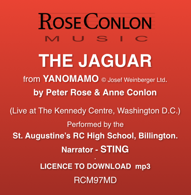 The Jaguar RCM97MD from Yanomamo in Washington (by Peter Rose &amp; Anne Conlon)