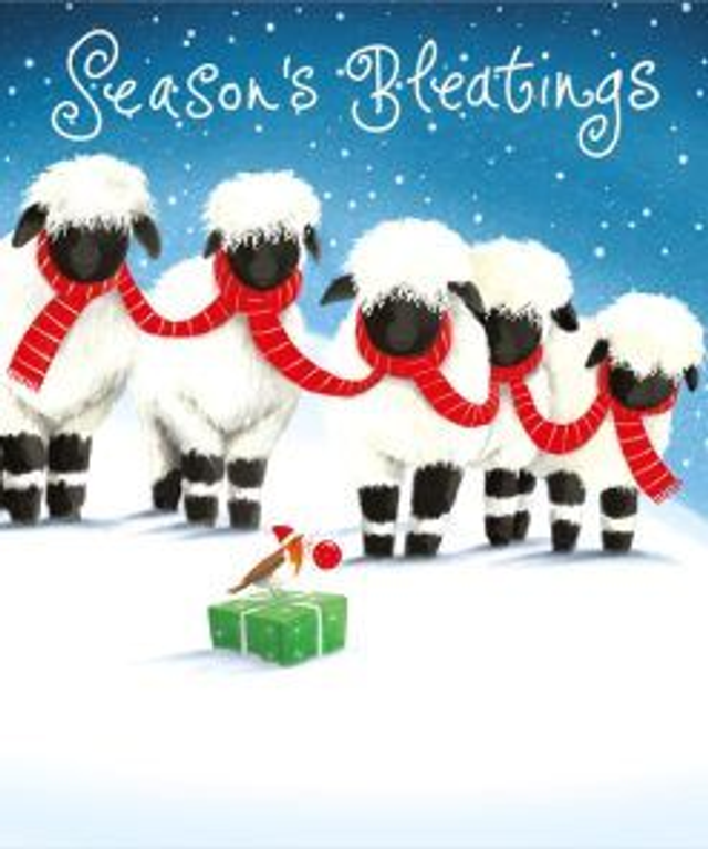 XCB01 Pack of 8 Charity Cards - Seasons Bleatings