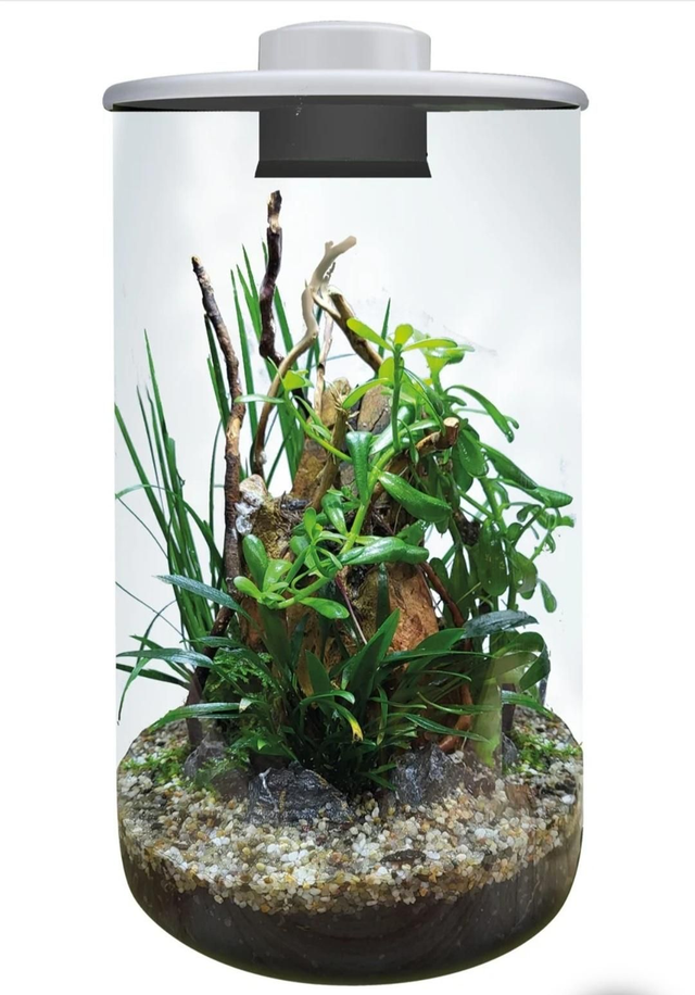 Bio art cylinder 285 wit 8715897349454