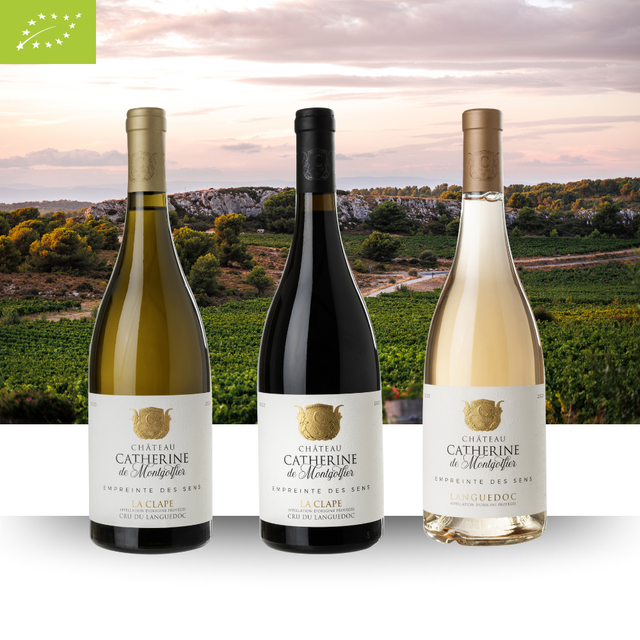 Coffret Art et Dégustation