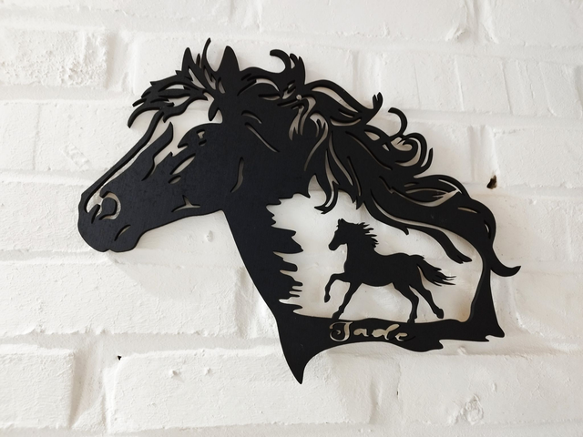 Cheval avec son poulain