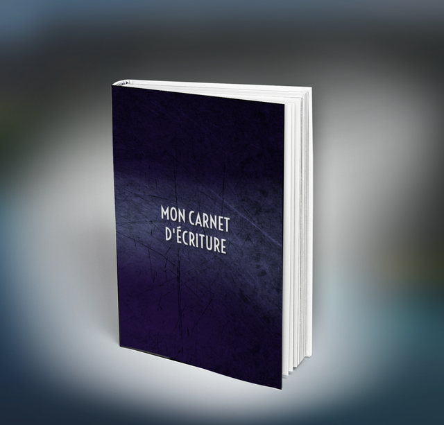 CARNET D'ECRITURE