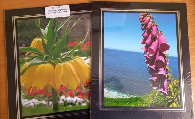Foxglove by the sea and Fritillaria Imperialis mounted pictures 
