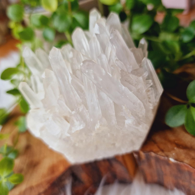 Clear Quartz Cluster 308g