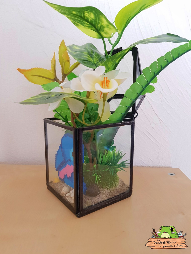 Compagnon sur la plage