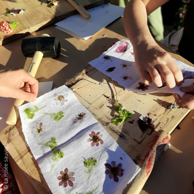 Atelier TATAKI-ZOMÉ