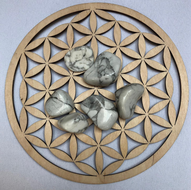 Pierre roulée en Howlite