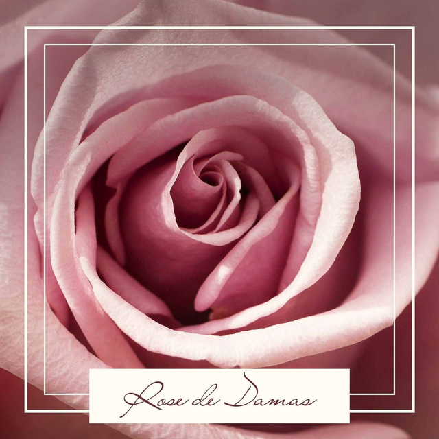 Massage Impérial à la rose de Damas