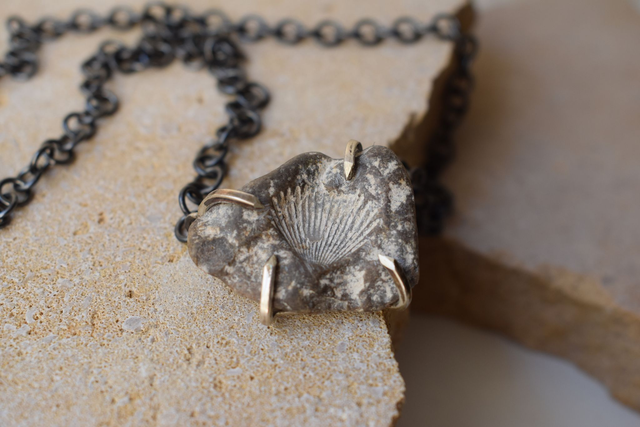 Collier Coquillage Fossile 