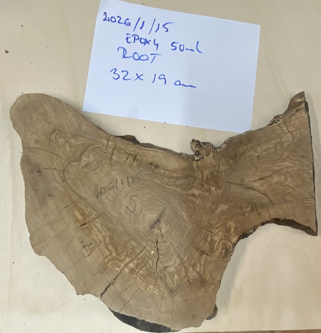 Bespoke Olive Root Serving Board – No. 2026/1/15