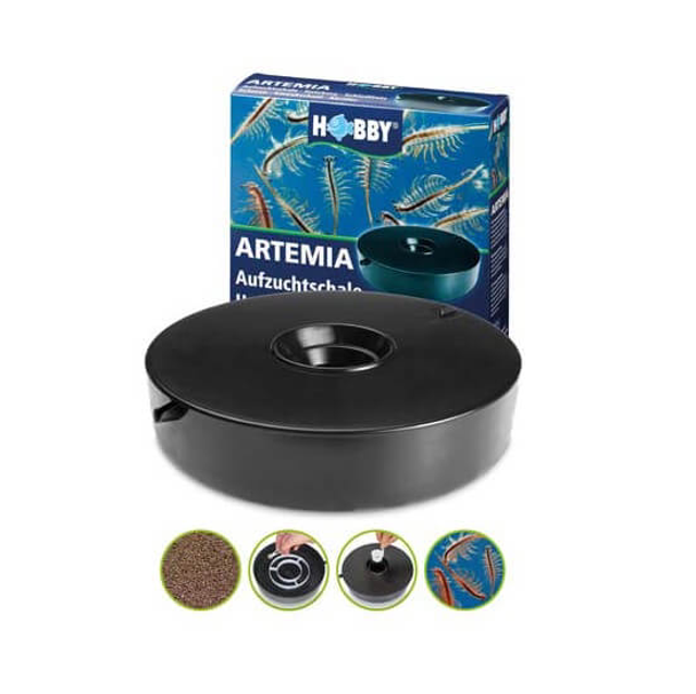Éclosoir Artemia Hobby 