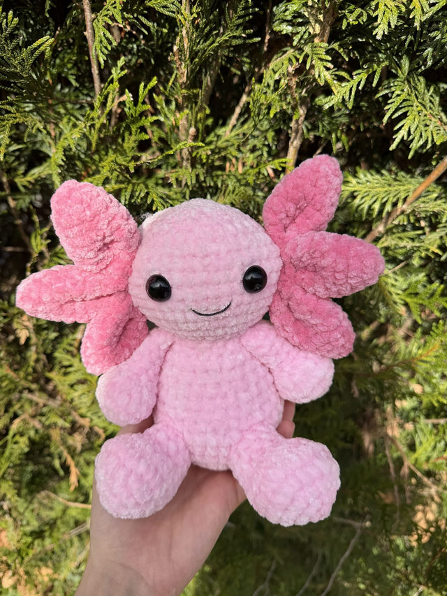 Axolotl géant 🪸