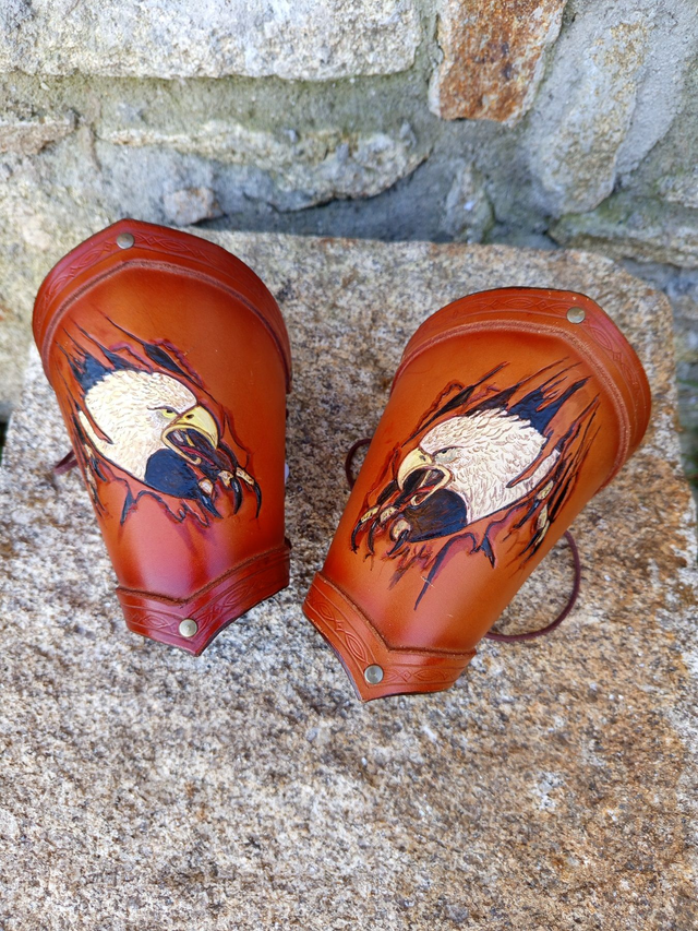 Canons d'avant-bras aigle