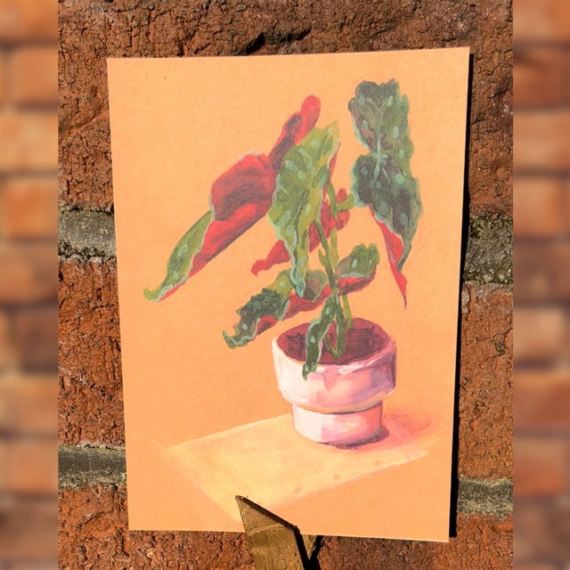 Gouache Begonia Print A6 