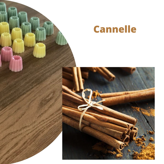 Cannelle