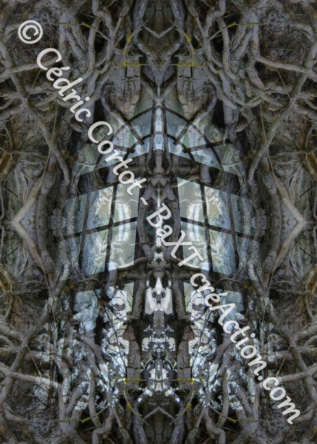 Carte postale - Entre réel et irréel (Ref IMG_0559-5)