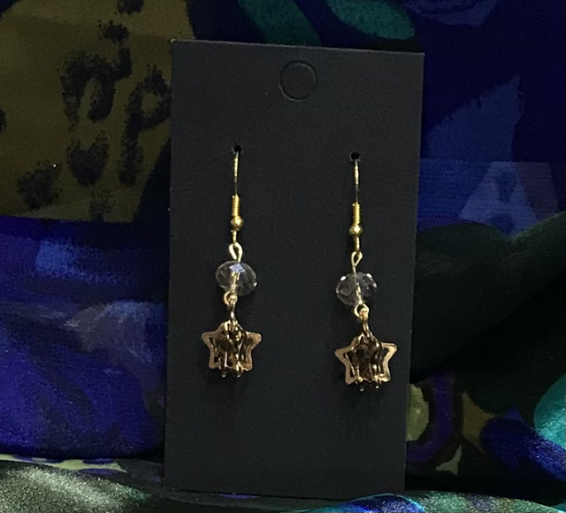 Brown Dangling Earrings- BDE558
