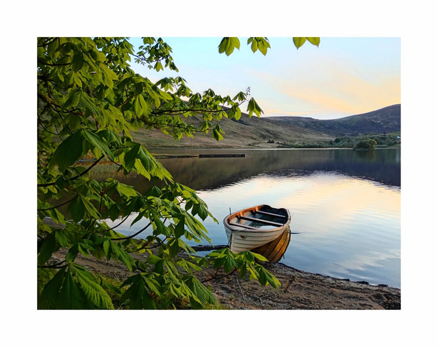 Summertime at Lough Talt, County Sligo. 5" x 7 " Blank Greeting card with envelope. includes postage to all of Ireland.

