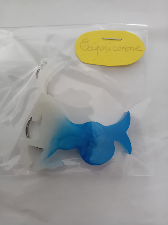 Porte clé signe astrologique capricorne 