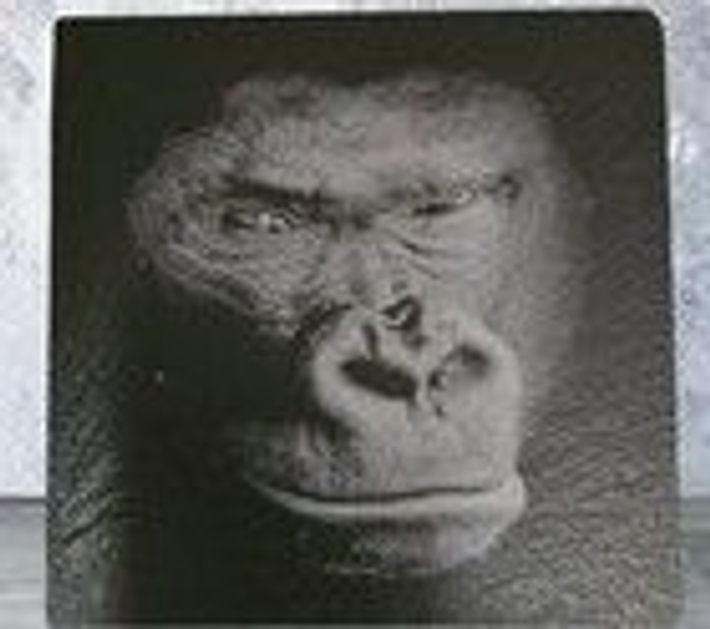 Slate Coaster - Gorilla