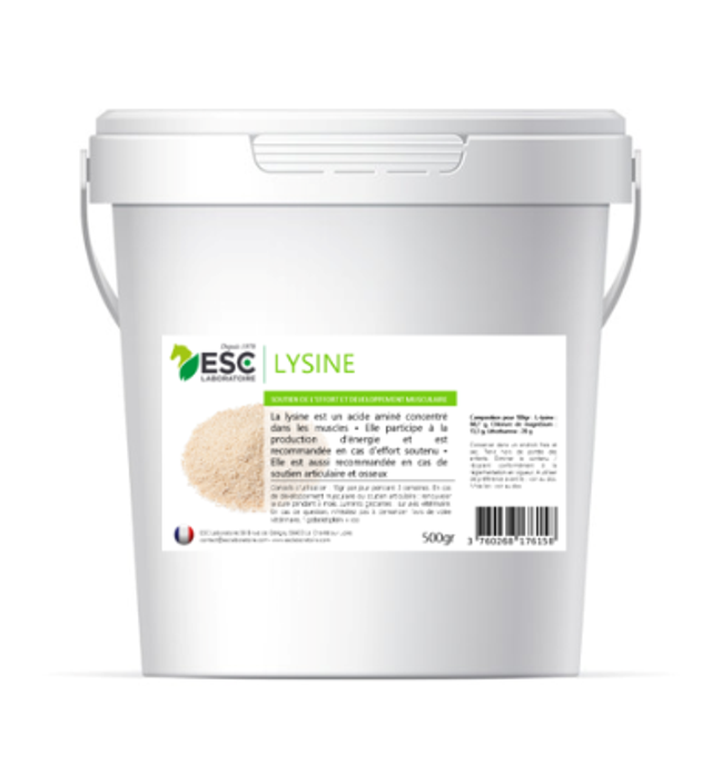 LYSINE + – Soutien de l’effort et développement musculaire cheval
